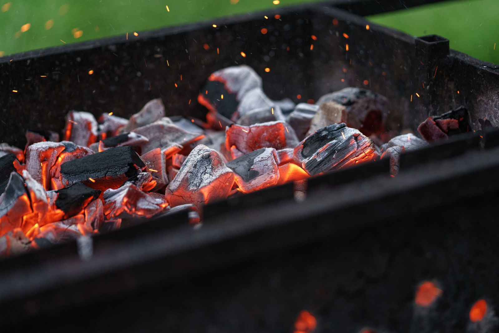 WhatsApp_Image_2025-08-22_at_19