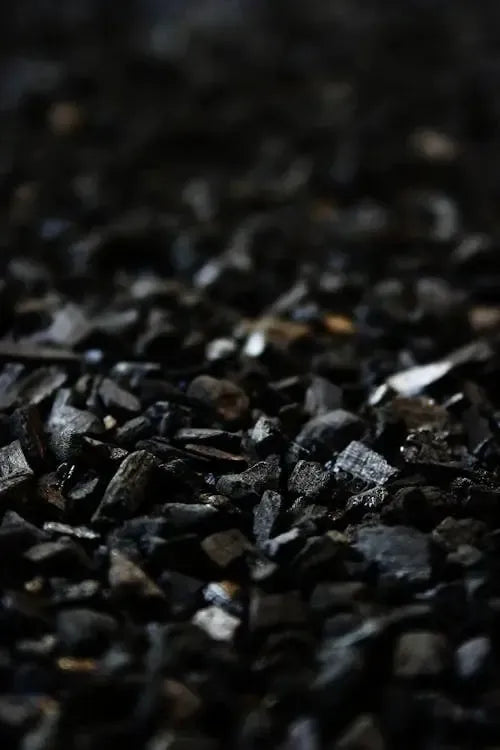Why Sustainability Matters When You Choose Charcoal