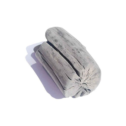 Binchotan Charcoal from Kishu