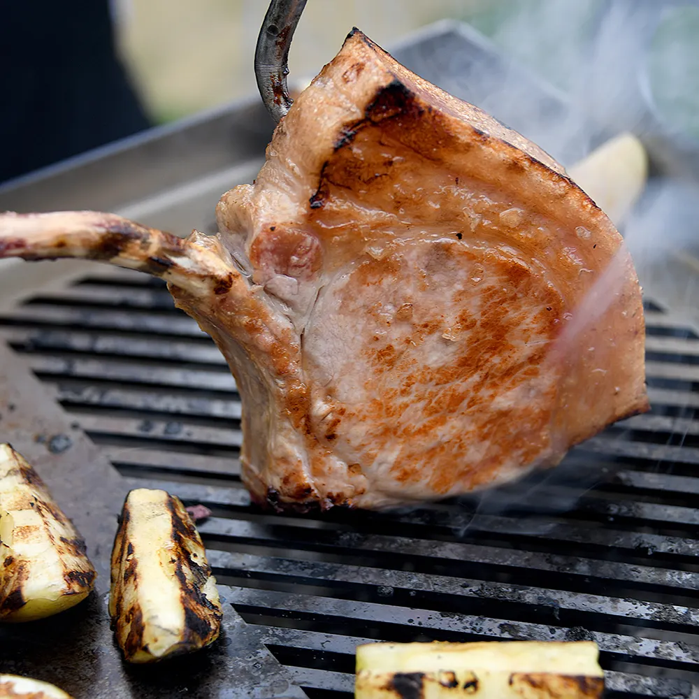 Kasai Konro Plancha 50.50