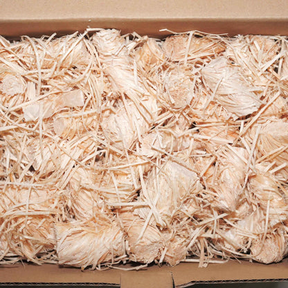 Wood Wool Eco Firelighters - 1 box
