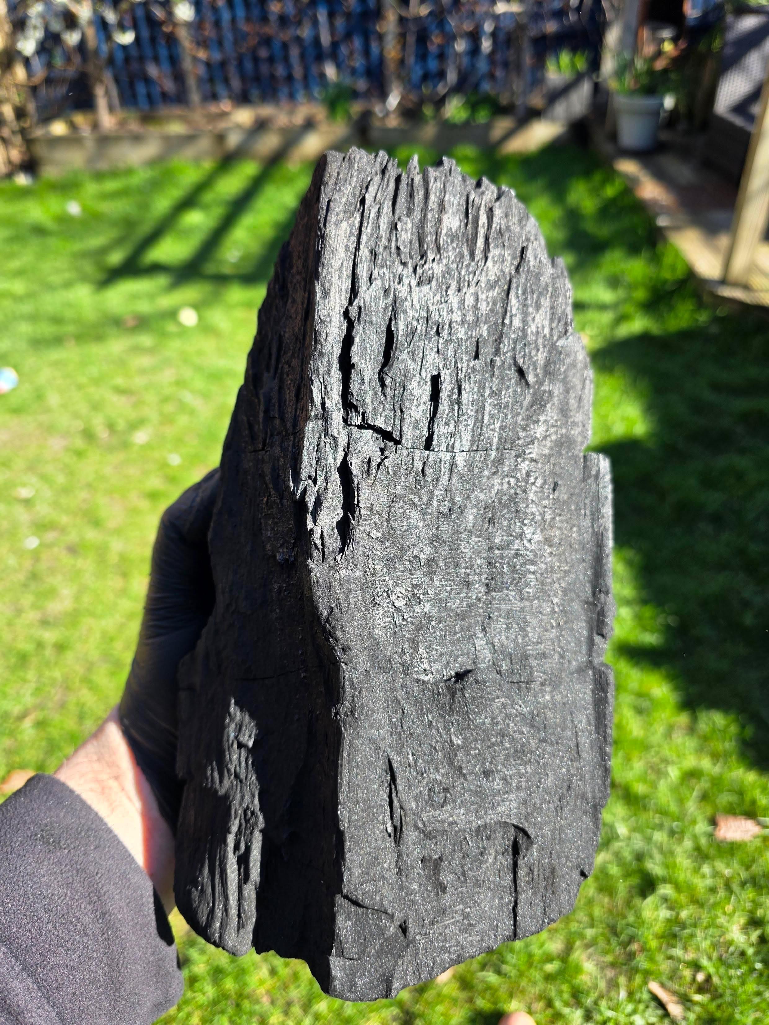 Berkenhoutskool 10 kg