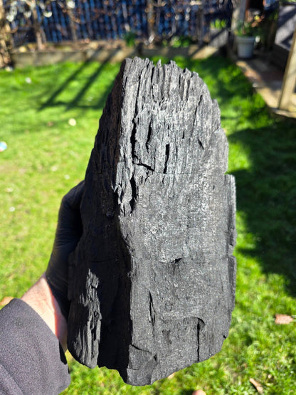 Berkenhoutskool 5kg zak
